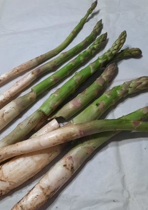 Una foto de Espárragos  (limpieza, cocción)
