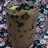 Es coklat cincau mix buah