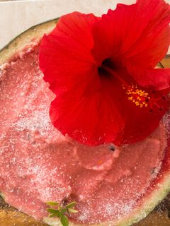 Veganes Wassermeloneneis Rezepthauptbild