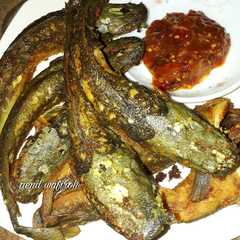 A picture of Lele goreng.