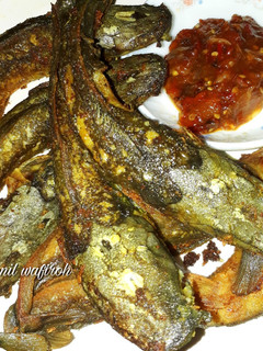 Foto resep Lele goreng