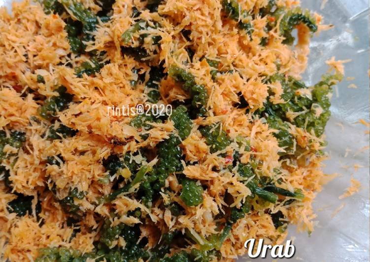 Salad Seagrapes &lt;&mdash;-&gt; Urab Anggur Laut/Latok/Lawi