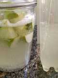 Soda probiótica de manzana simil sidra 🥂