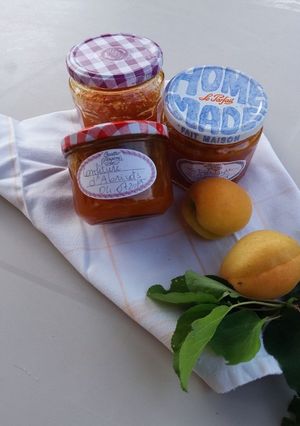 Une photo de Confiture D'Abricots Cook EXPERT