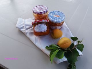Confiture D'Abricots Cook EXPERT
