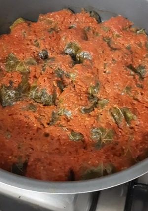 عکسی از دستور دلمه برگ مو