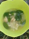 Sop Daun Katuk dan Kobis Kuah Gurih