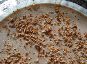 A picture of Eggless Chocolate Souffle.