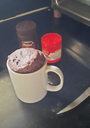 A picture of Chocolate mug cake.