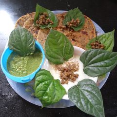 A picture of Moong Paratha.