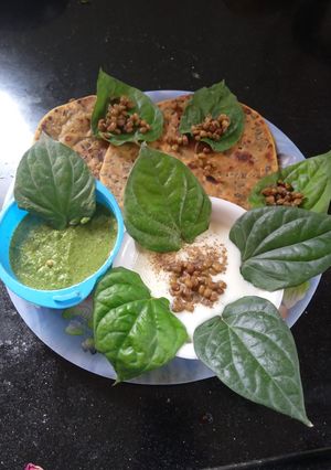 A picture of Moong Paratha.