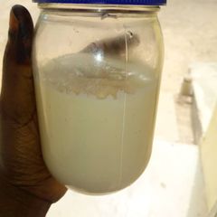 A picture of Homemade mayonnaise.