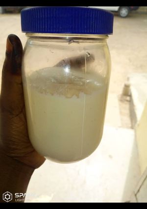 A picture of Homemade mayonnaise.