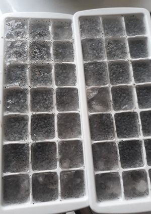 عکسی از دستور یخ تخم شربتی