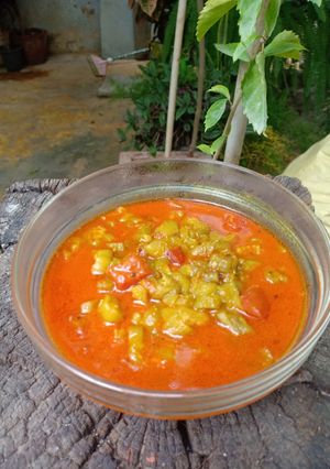 A picture of Sponge gourd (galka) sabji.