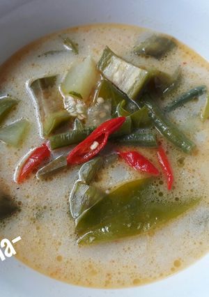 Foto resep Sayur lodeh jawa