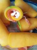 Canutillos de mango con salmón