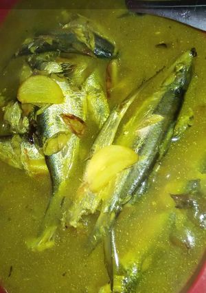 Foto resep Tembang kuah kuning