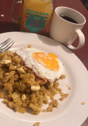 Una foto de Tigrillo Ecuatoriano 🇪🇨