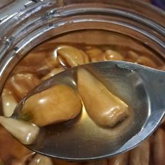 A picture of Fermented Honey Garlic.