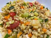 Una foto di orzo farro