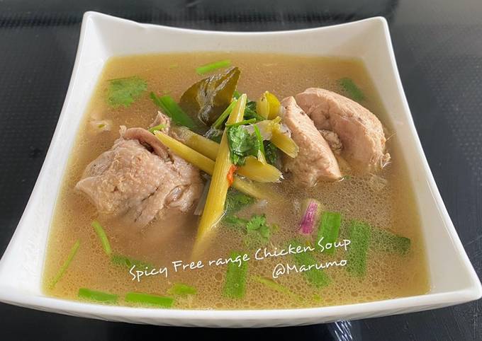 Spicy Free range Chicken Soup