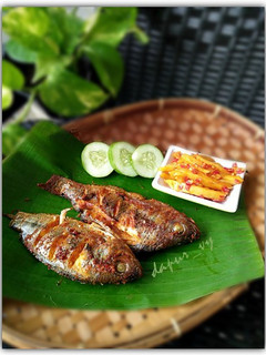 Foto resep IKAN Mujair BAKAR