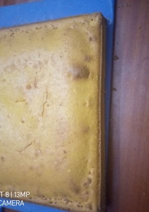 A picture of Carrot cake with no icing.