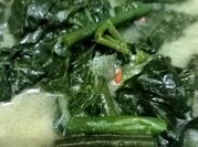 Gambar daun labu santan