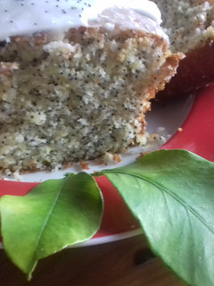 Une photo de Cake citron pavot-double glaçage