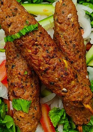 A picture of FRIED SEEKH KABAB.