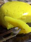 Queso vegano