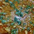 Mushroom matar