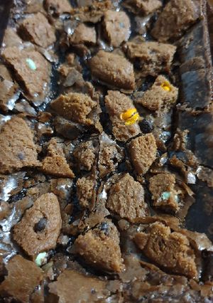 Foto resep Fudgy Brownie