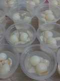 Puding Lychee