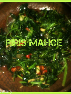 Foto resep Cah bayam bumbu terasi ala mahce