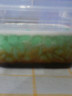 Foto resep Es cendol tepung beras