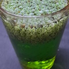A picture of Quice and Chia seeds sharbat.