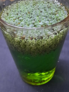 A picture of Quice and Chia seeds sharbat.