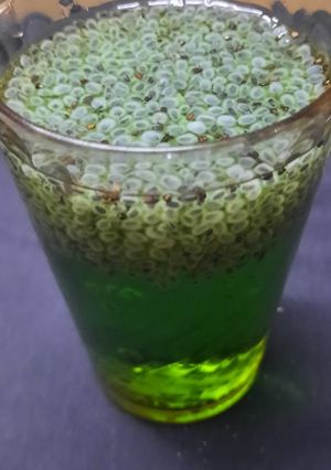 A picture of Quice and Chia seeds sharbat.