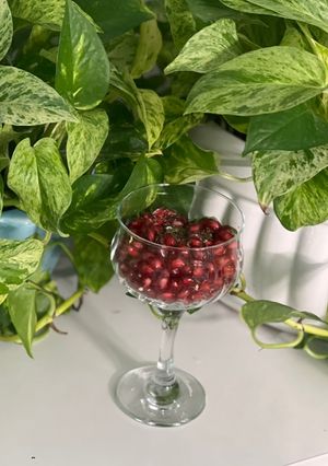 عکسی از دستور انار رب اناری