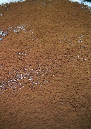 O poză a rețetei Tiramisu simplu (fără mascarpone).