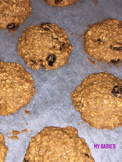 A picture of Oatmeal cookies.
