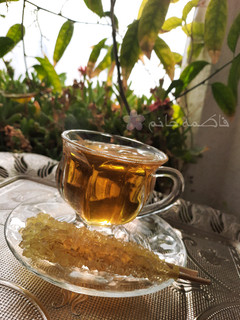 عکسی از دستور دمنوش پونه