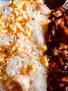 A picture of Mongolian Chicken or Chicken in hoisin sauce.