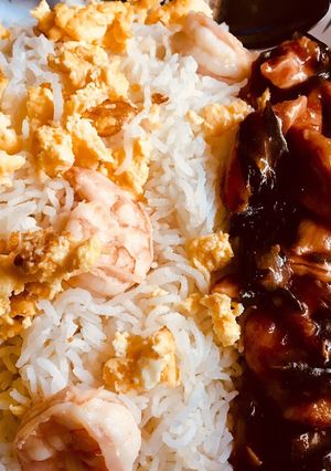 A picture of Mongolian Chicken or Chicken in hoisin sauce.