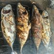 Ikan bakar gurih