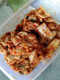 Kimchi fresh
