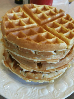 A picture of Waffles.