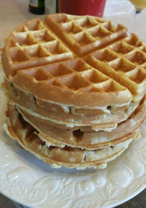 A picture of Waffles.